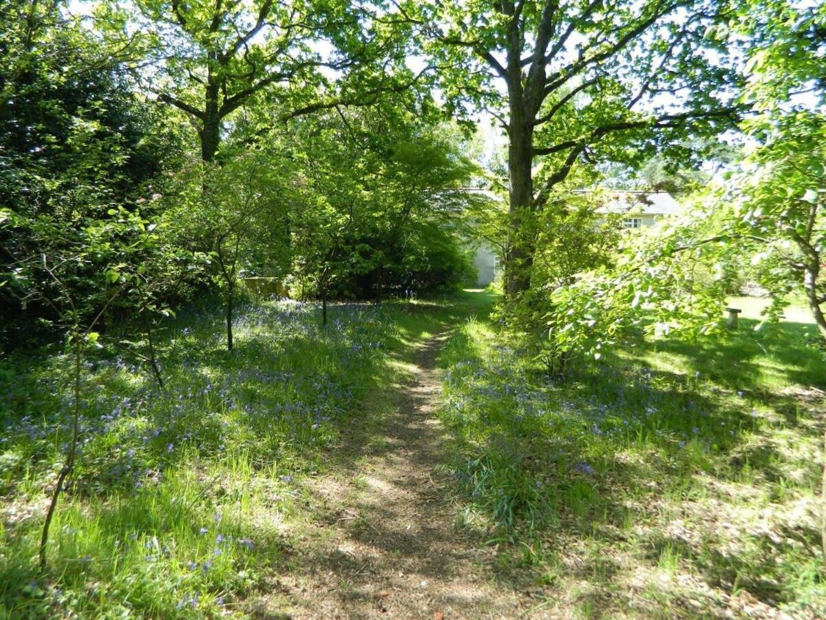 River Cottage A Country Retreat In Wooded Gardens East Stoke  Extérieur photo