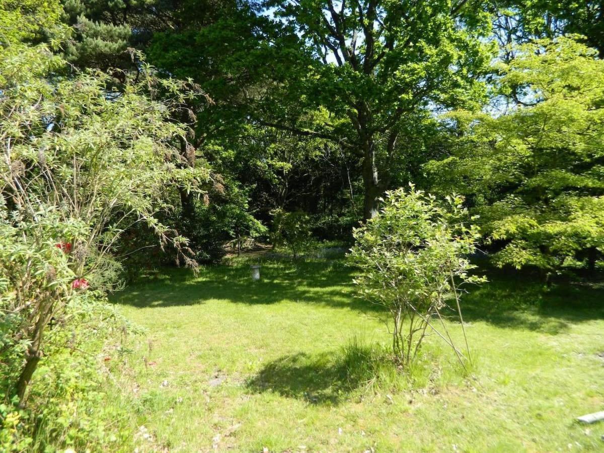 River Cottage A Country Retreat In Wooded Gardens East Stoke  Extérieur photo
