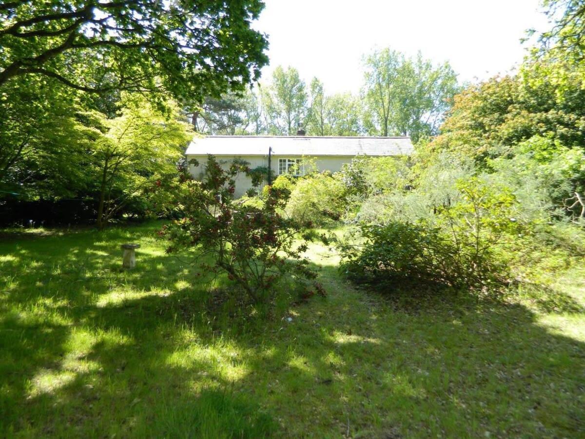 River Cottage A Country Retreat In Wooded Gardens East Stoke  Extérieur photo