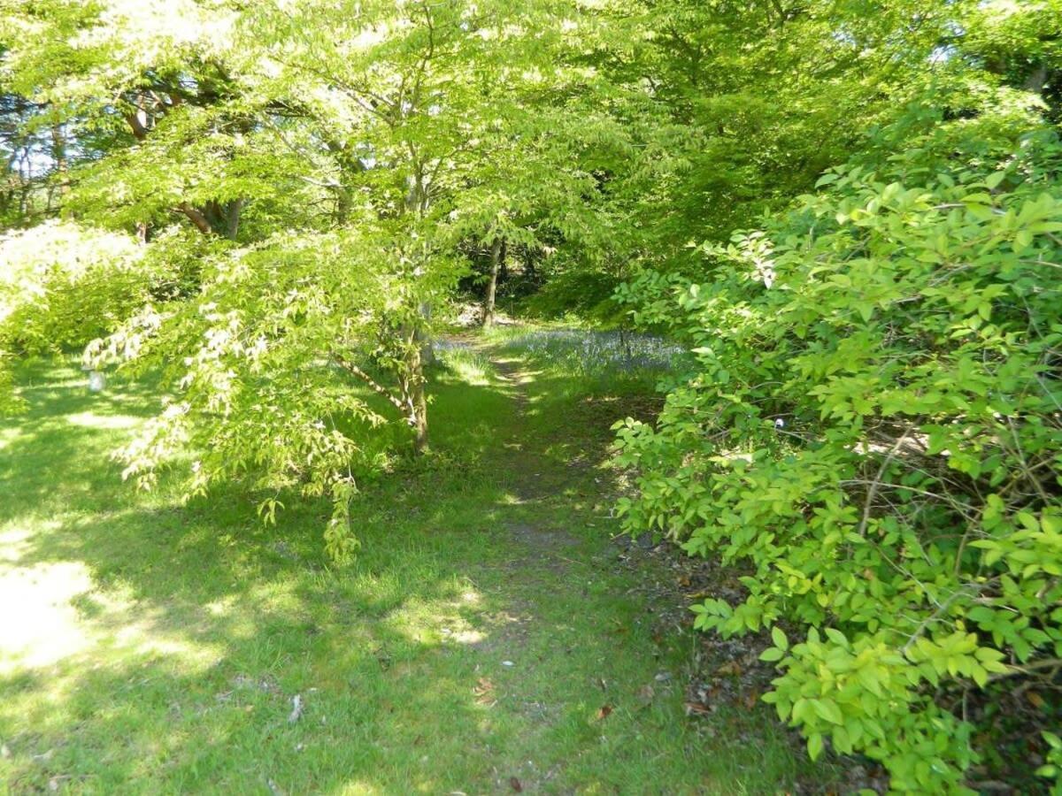 River Cottage A Country Retreat In Wooded Gardens East Stoke  Extérieur photo
