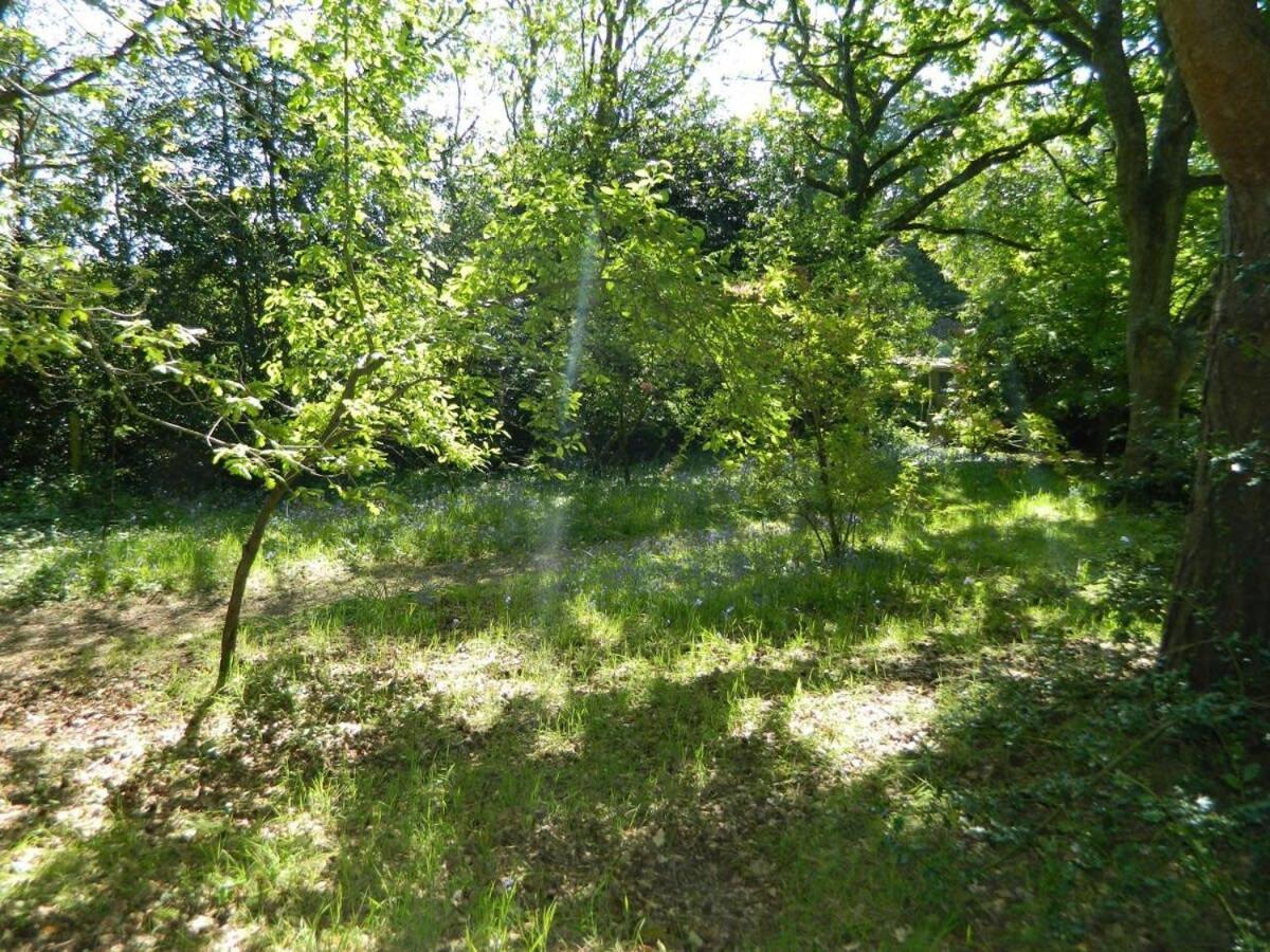 River Cottage A Country Retreat In Wooded Gardens East Stoke  Extérieur photo